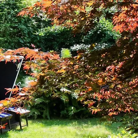 Binnendieck Casa vacanze Ahrenshoop