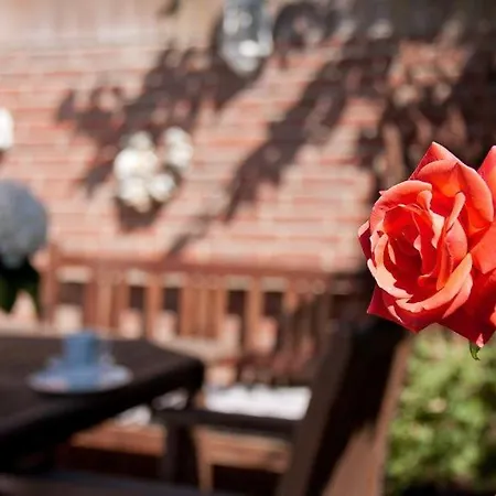 Binnendieck Casa vacanze