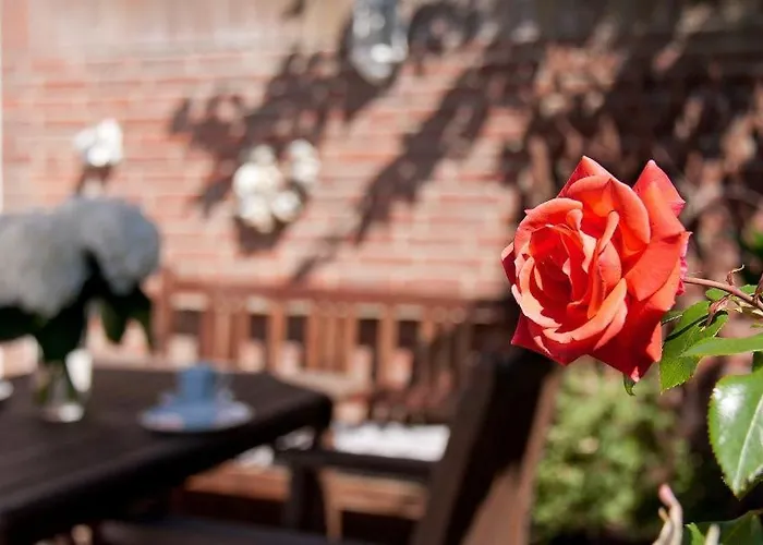 Binnendieck بيت للعطل